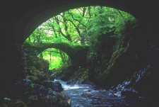 Bridge