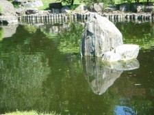 Carp Pond